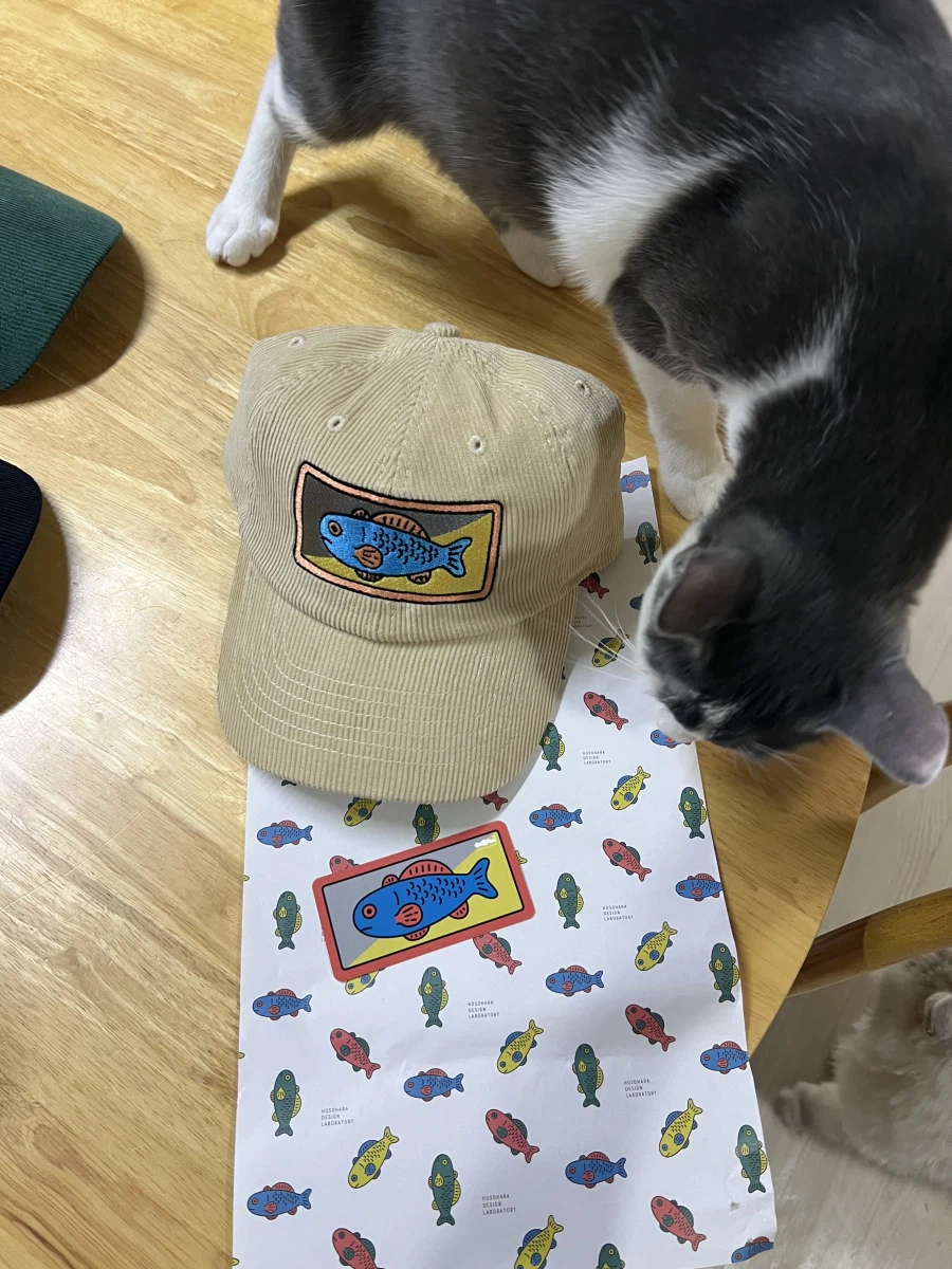 물고기 모자 도착 했습니다._4.webp