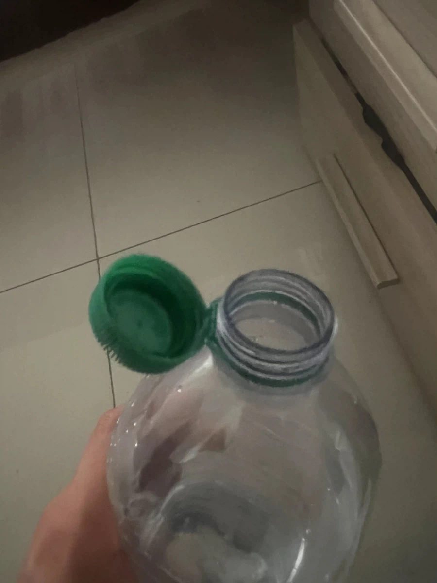 해외로 놀러간 유럽 사람들에겐 익숙하지않은 순간_4.webp