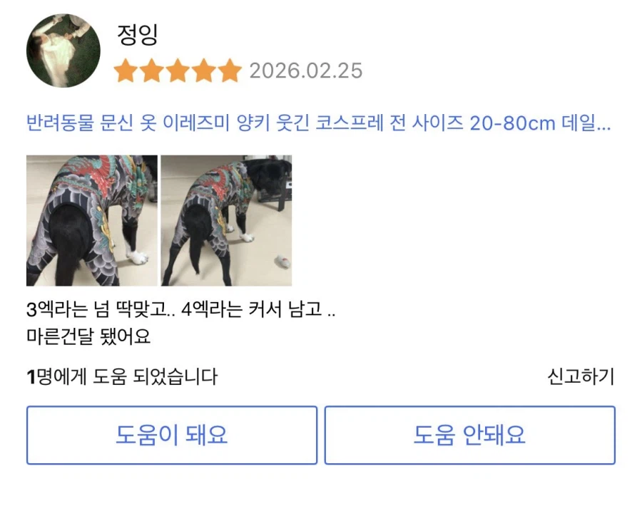 대환장의 강아지 옷 후기.jpg_5.webp