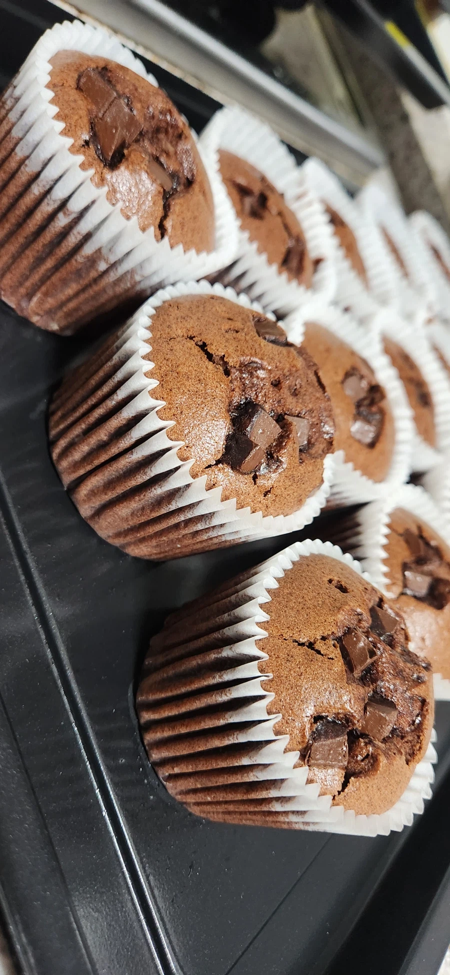 직장동료들 살찌우는 취미생활3_2.webp