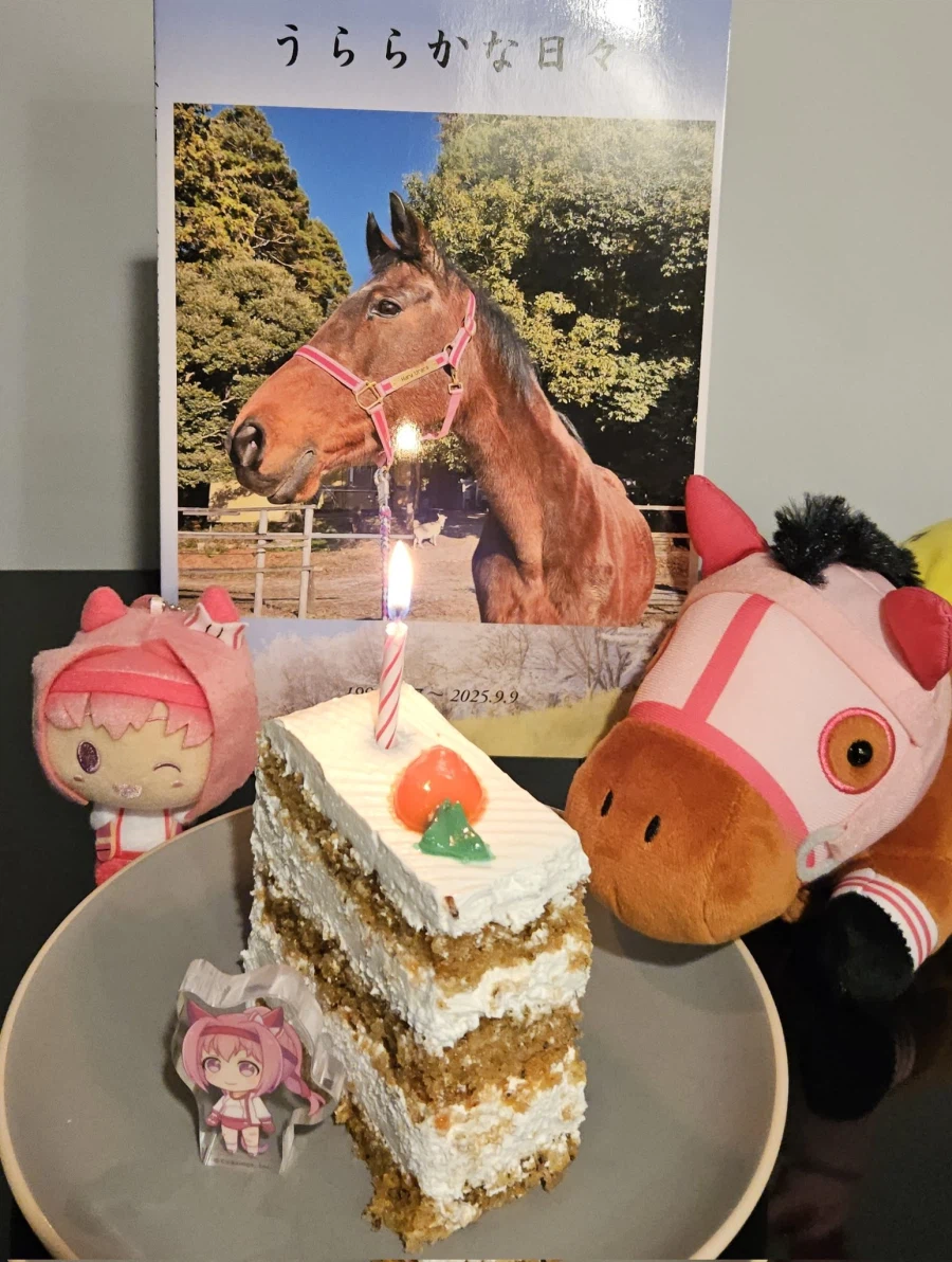 [말딸] 우라라, 아케보노, 판도라의 생일축전 모음_65.webp