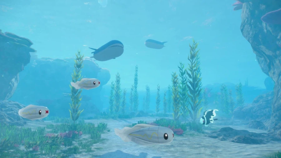 포켓몬스터 윈드・웨이브 1st 트레일러, 스크린샷_8.webp