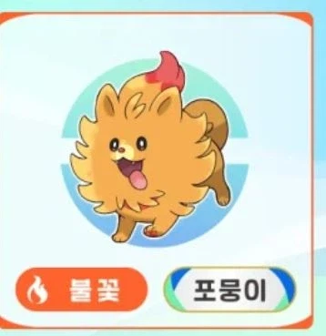 포뭉이를 믿는다!!_1.webp