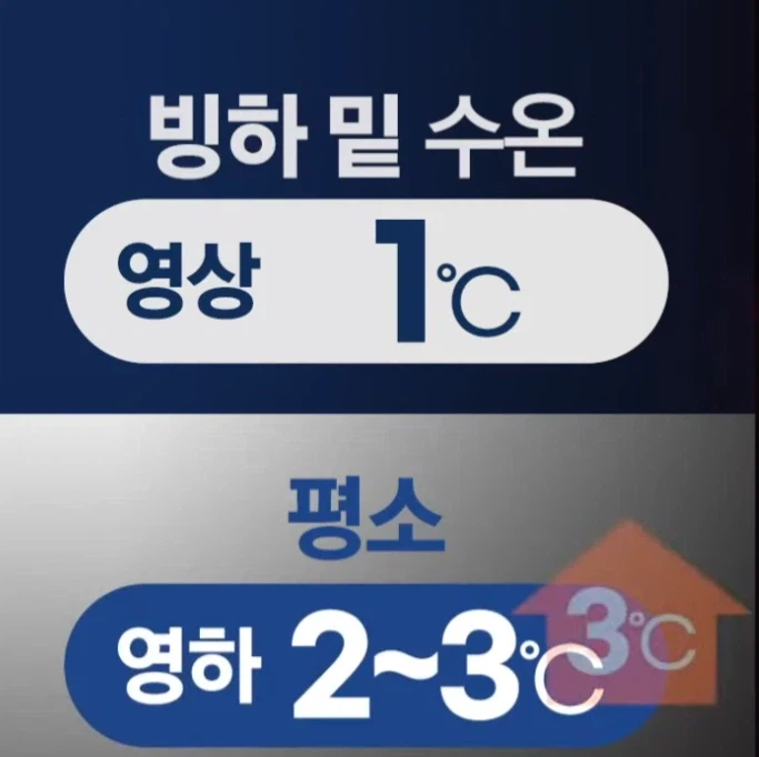 남극의 지구 리셋버튼 근황.jpg_3.webp