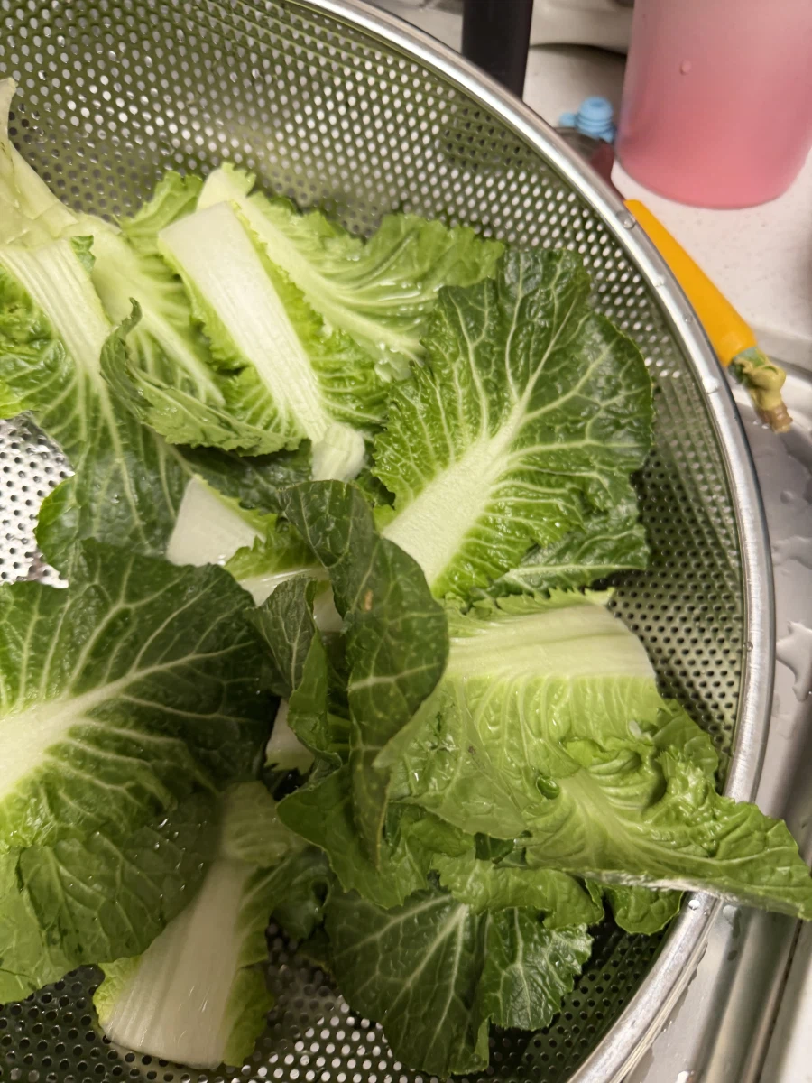 집에서 만든 봄동 비빔밥_4.webp