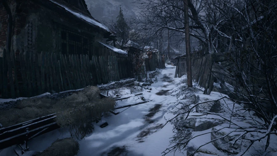 [스위치2]바이오 하자드 빌리지_3.webp