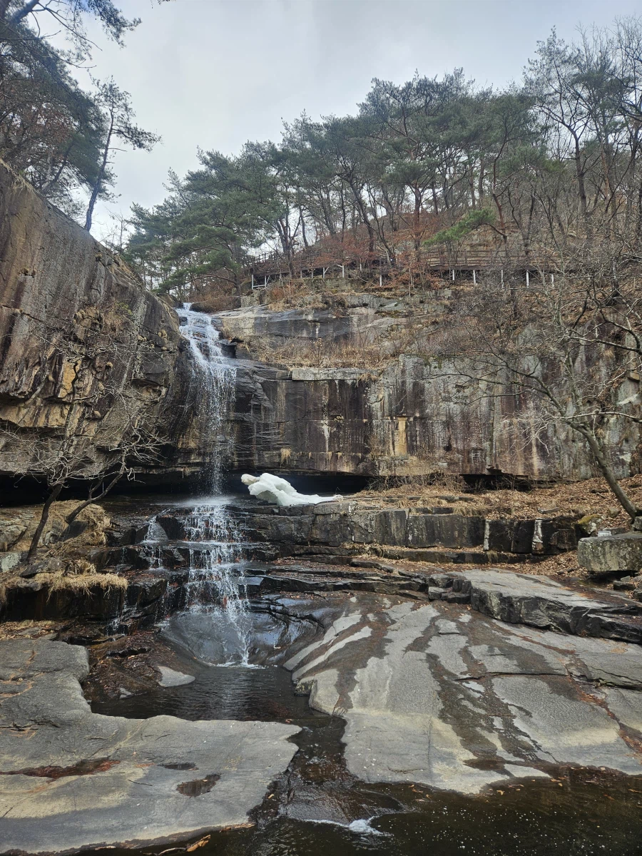 [충주] 추운날엔 뜨끈 한 내장탕_10.webp