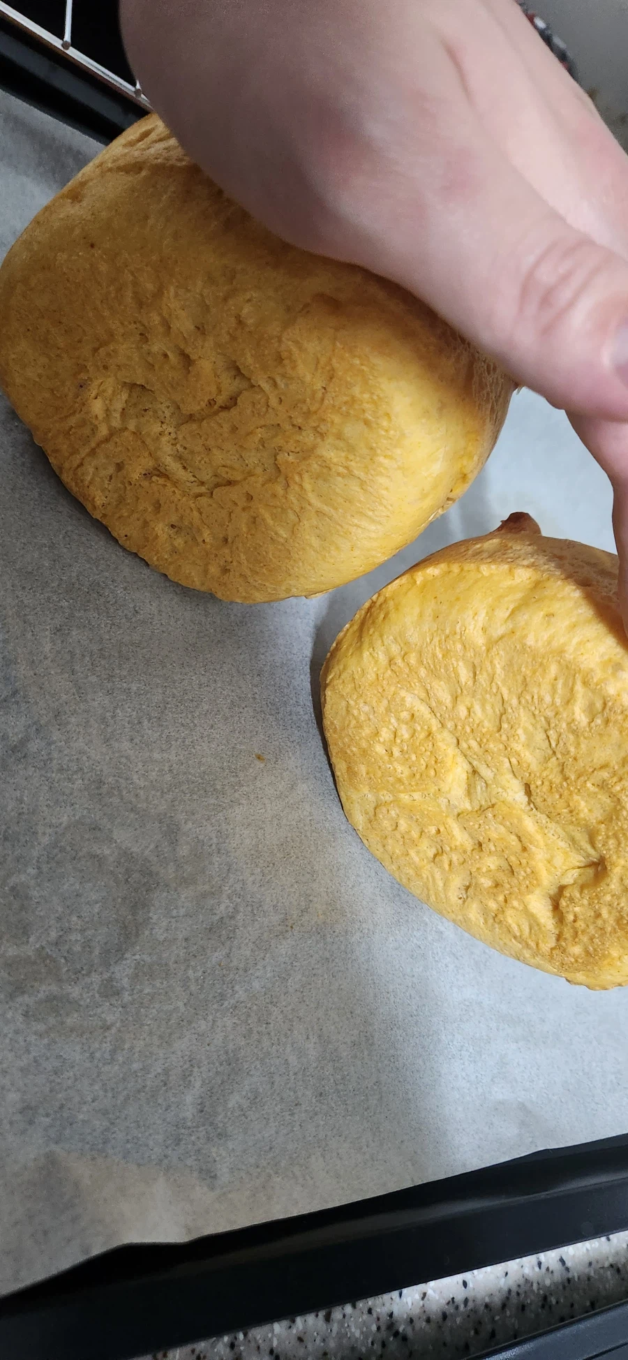 친구 먹여주는 취미생활_7.webp