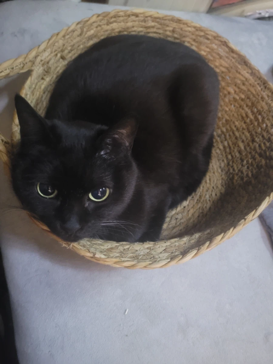 막내의 막내_1.webp