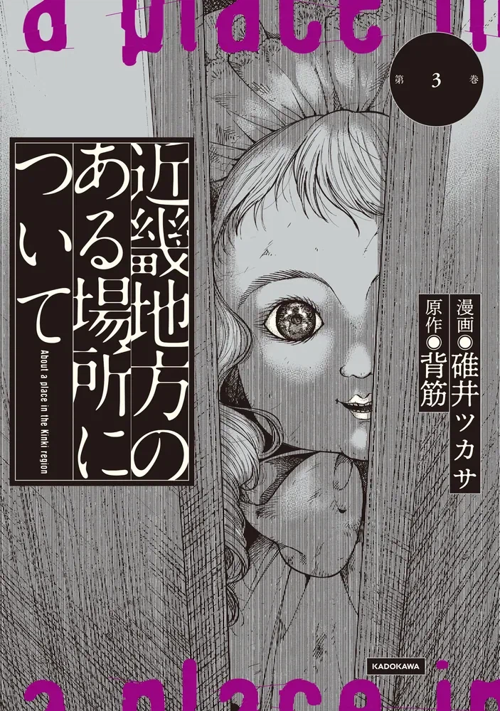 긴키 지방의 어느 장소에 대하여 코믹 3권 표지_1.webp