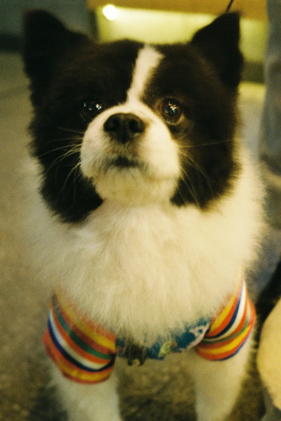 렁탕 렁탕 설렁탕_20.webp