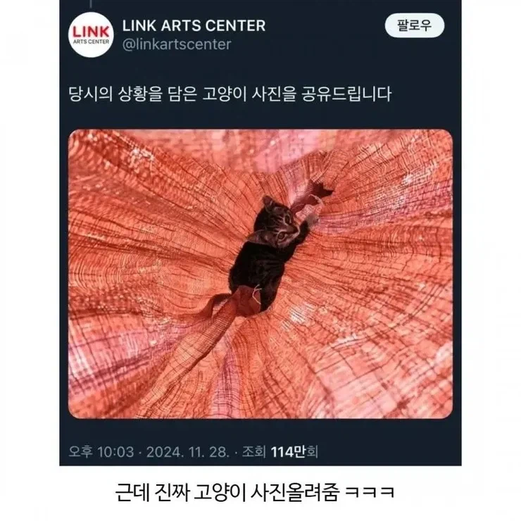 사람들이 어느 아트홀 사과문에 분노한 이유!_3.webp