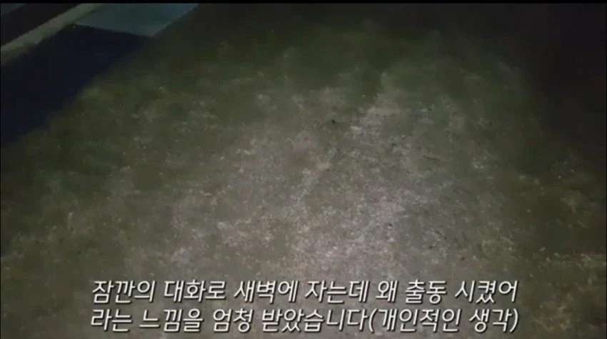 욕처먹고 스스로 영상을 삭제한 캣어머니_3.webp