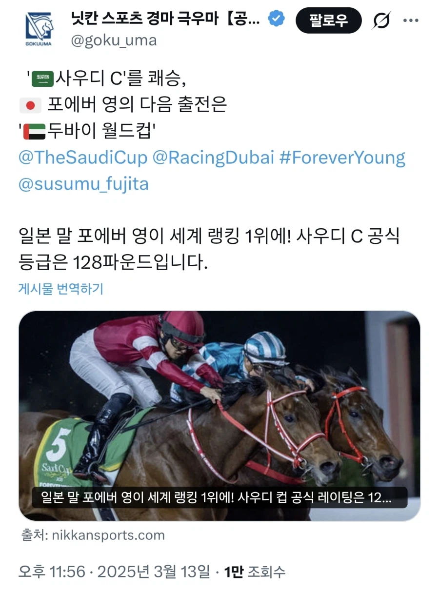 어느 회장이 자기말을 말딸에 실장 시키고 메인에 성능 카드에 푸쉬 엄청 한다는데_12.webp