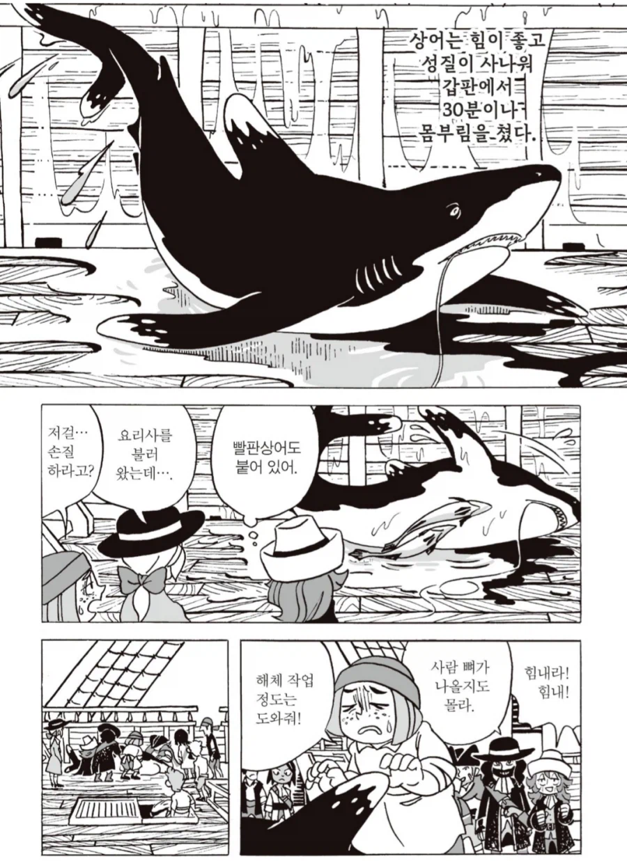 음식으로서 상어는 의견이 분분하네_2.webp