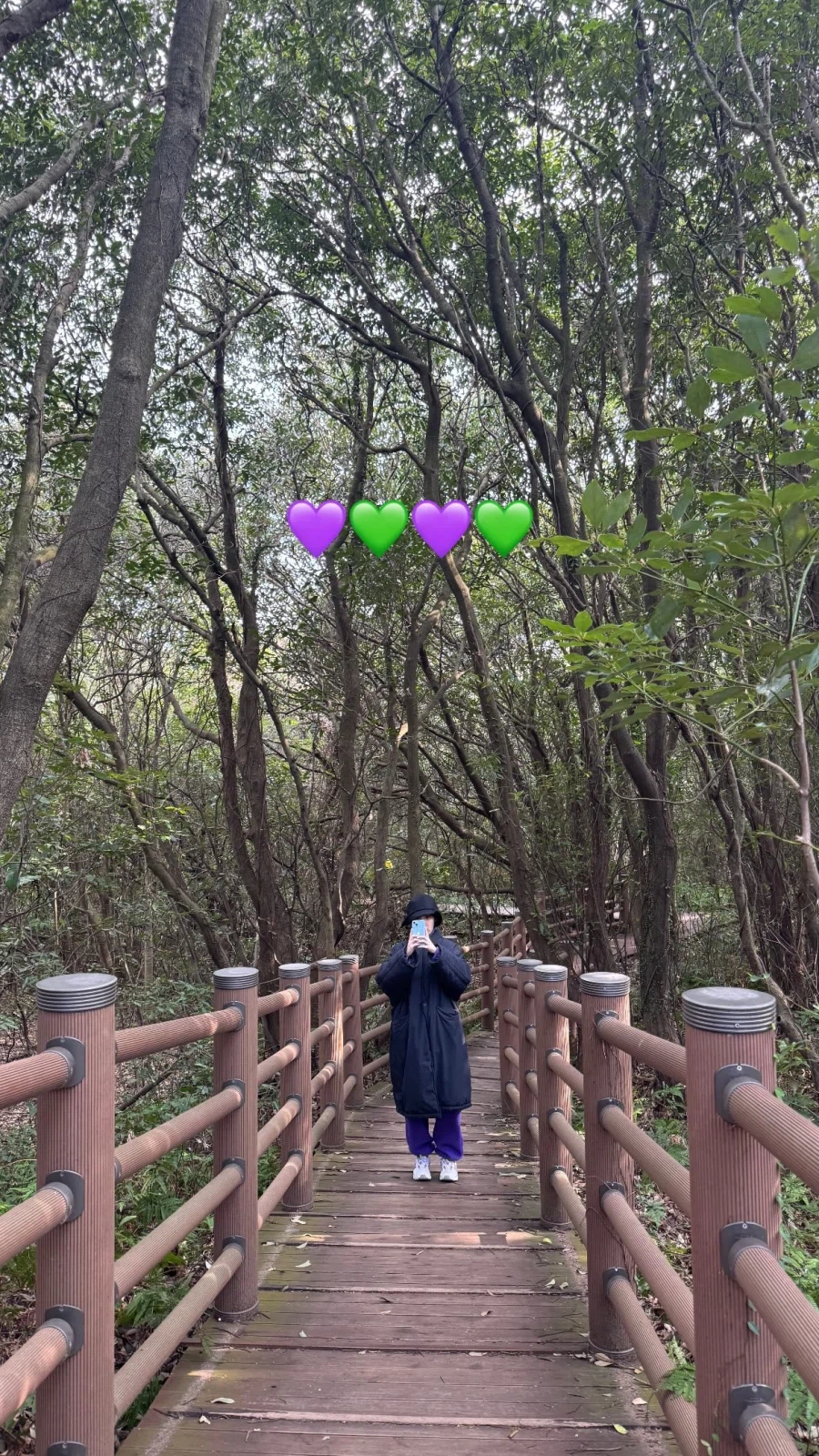 배우 이연 님 인스타그램 스토리_3.webp