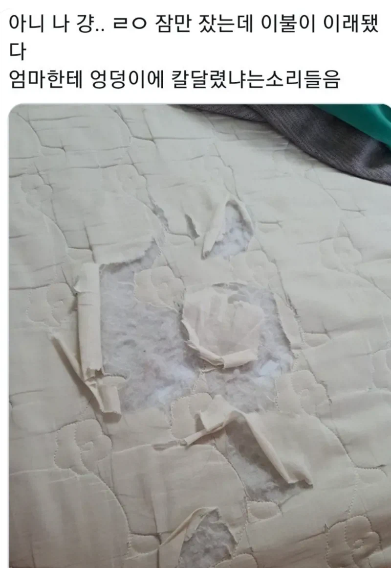 자신의 애착물건 자랑대회..jpg_8.webp