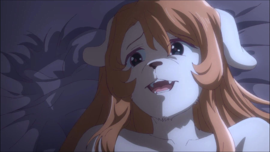 이거 많이 수상한데 애니 이름이 뭐였더라_2.webp