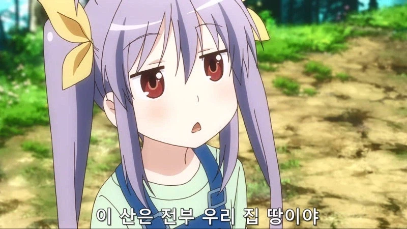 "산에 막 들어가서 채취하면 혼나는거 아닌가요?"_3.webp