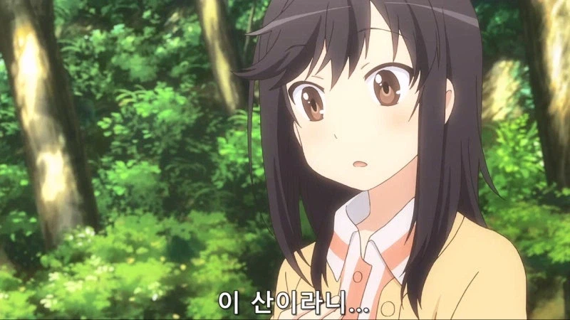 "산에 막 들어가서 채취하면 혼나는거 아닌가요?"_5.webp