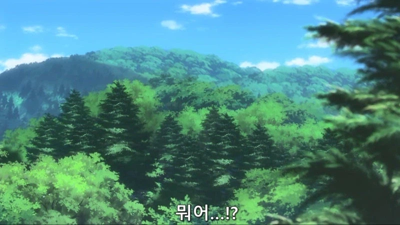 "산에 막 들어가서 채취하면 혼나는거 아닌가요?"_7.webp