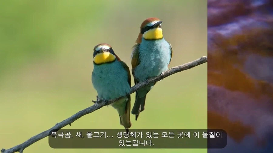 이상할 정도로 조용한 석면 시즌 2_10.webp