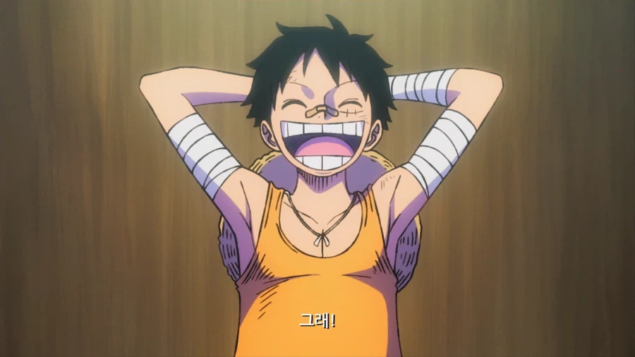 원피스) 루피의 관점으로 바라보는 6억 권 판매 기념 기획_45.webp