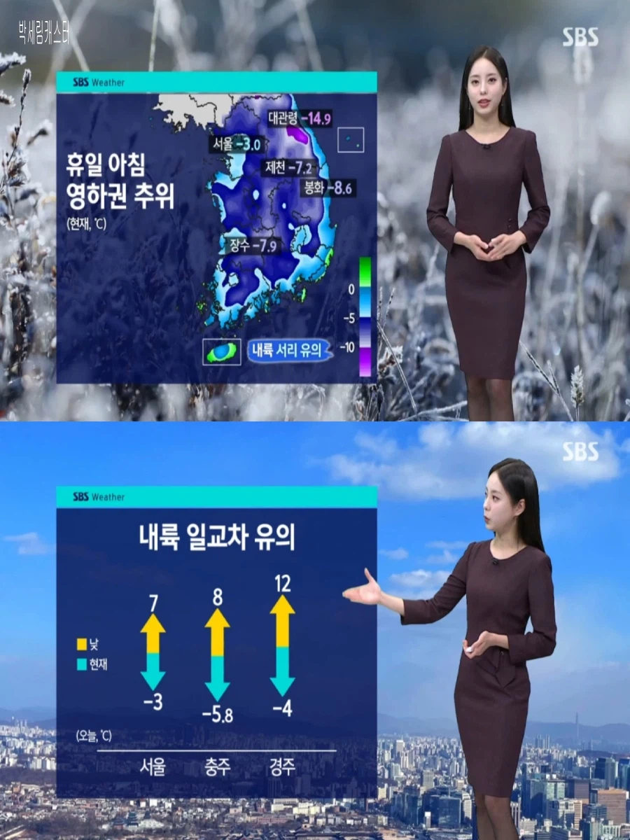 나들이하기 좋은 휴일(3월 봄꽃 일찍 개화, 아침 영하권 추위)_3.webp