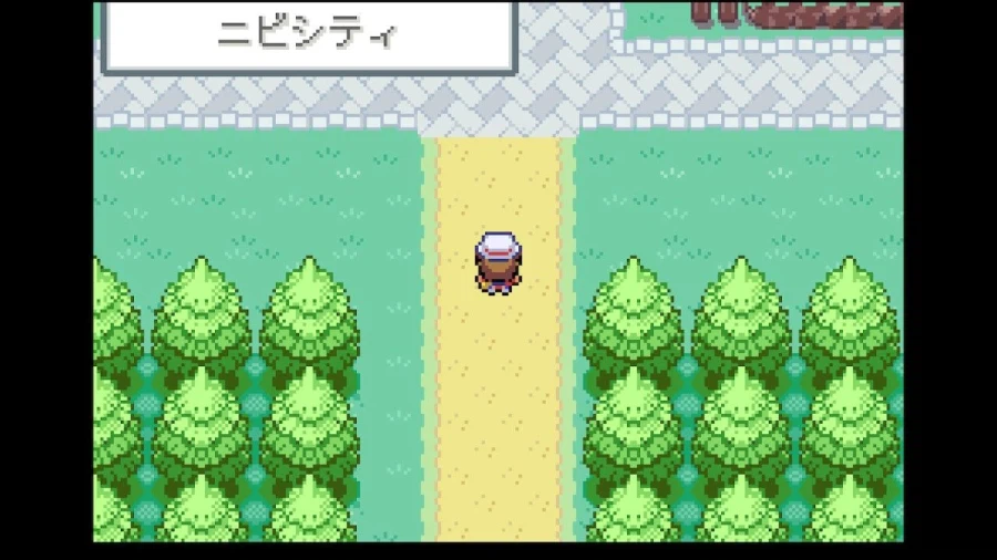 스위치 리프그린 너즐록 챌린지(1.태초마을~회색시티)_31.webp