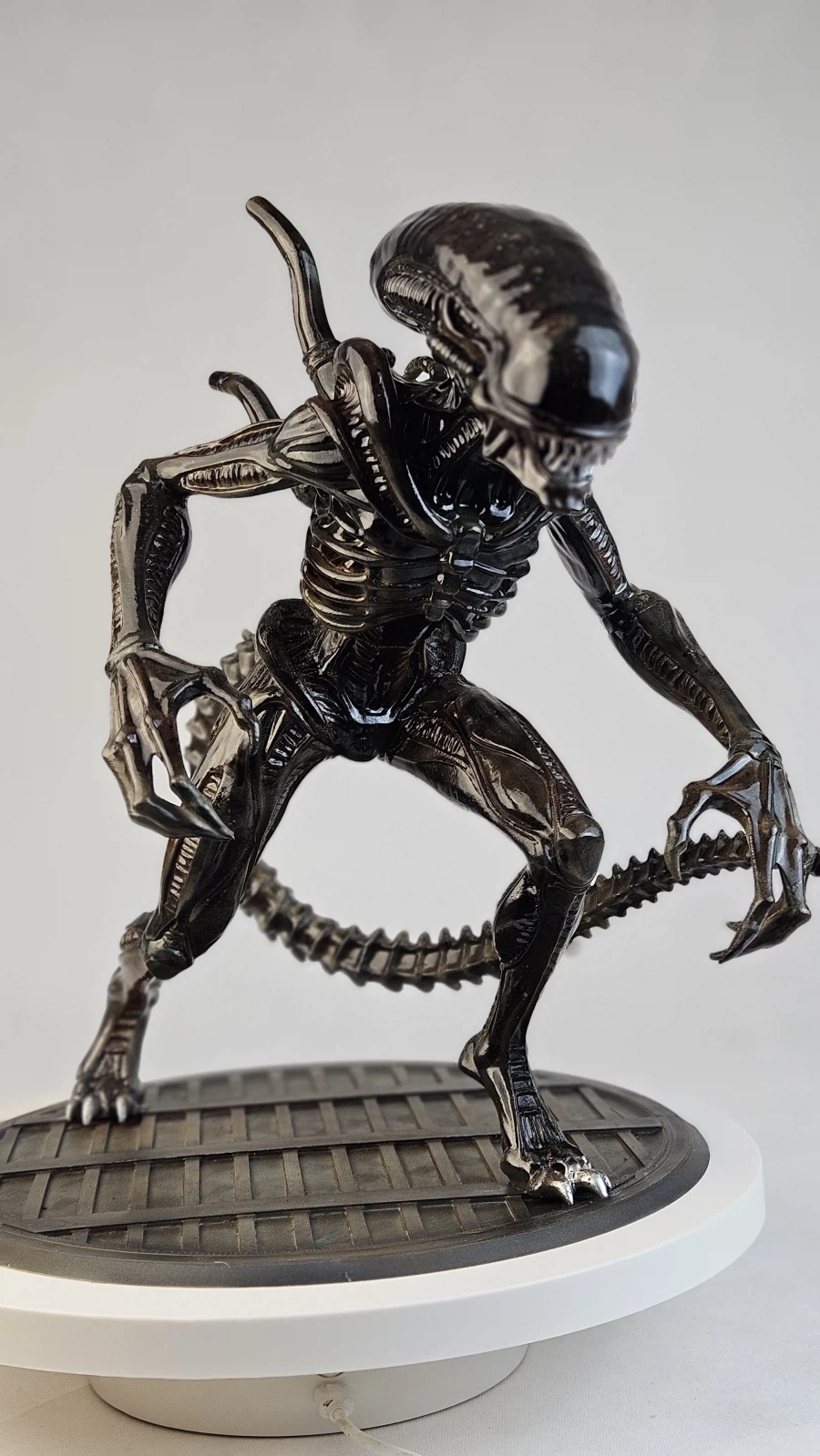 ALIEN [Xenomorph 제노모프]_21.webp