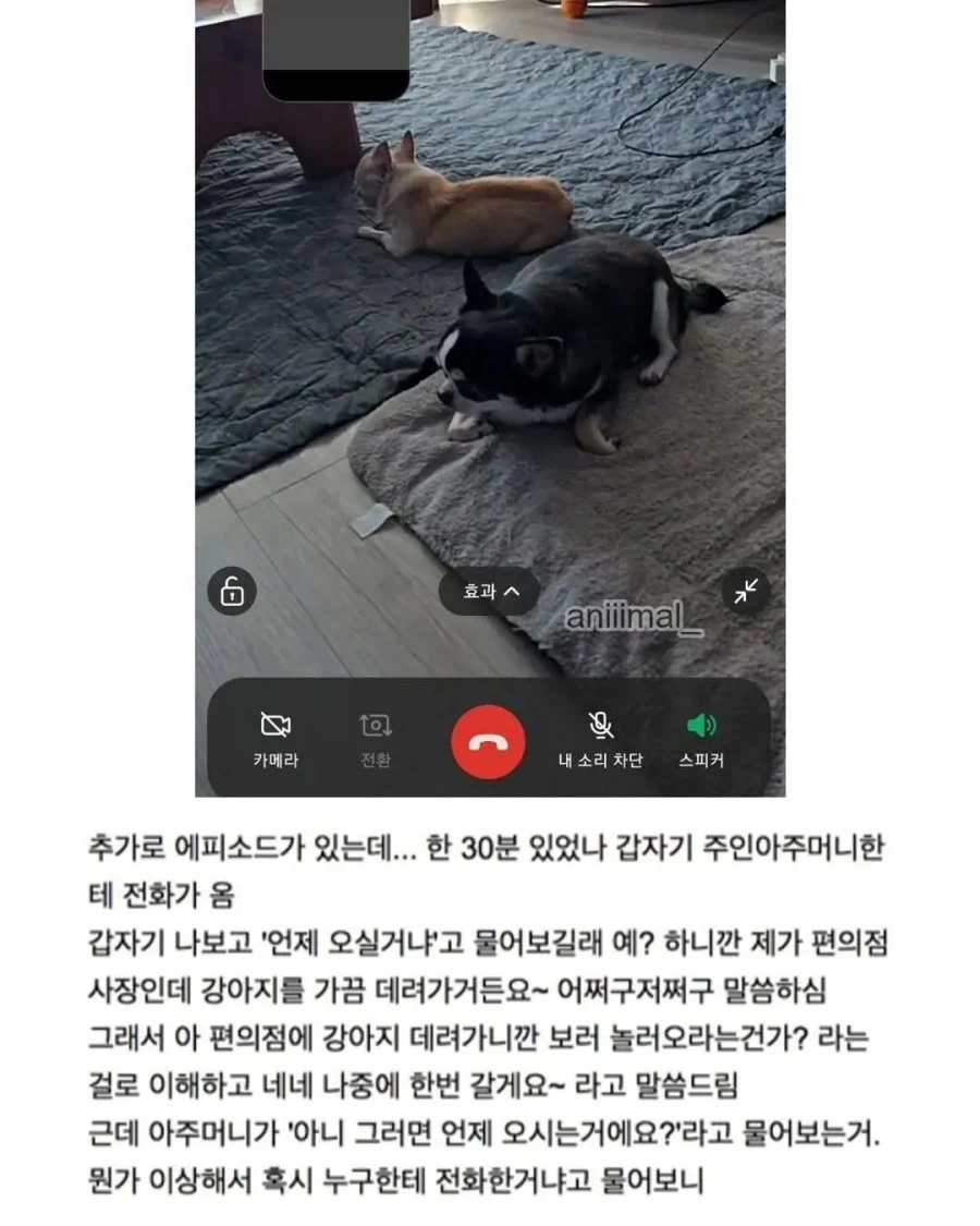 아파트에서 들개(?) 줍줍한 사람.jpg_13.webp
