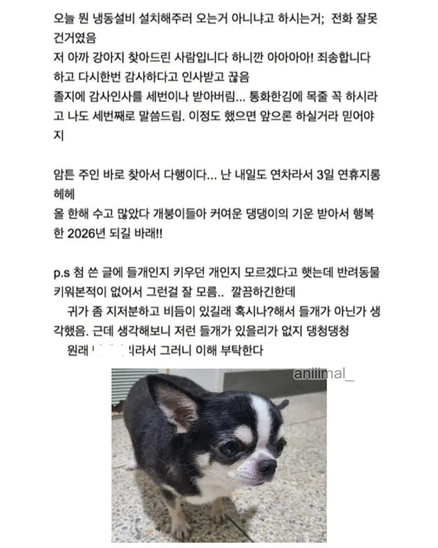 아파트에서 들개(?) 줍줍한 사람.jpg_14.webp