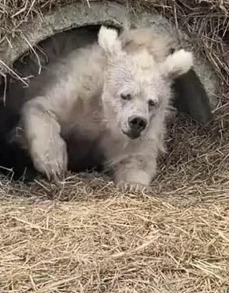 30살에 출근하려고 일어나는 나_1.webp