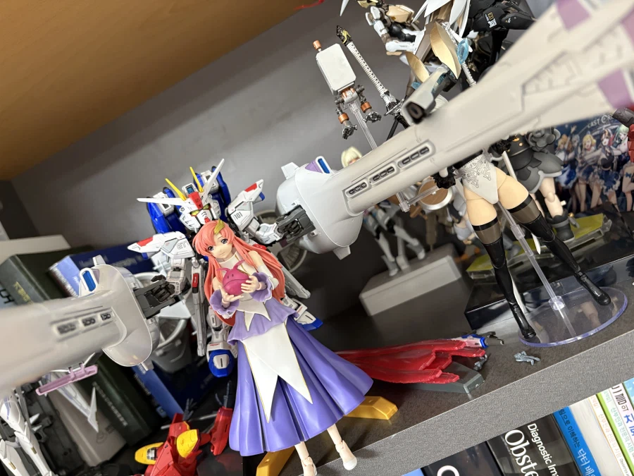 FRS 라크스는 진짜 세워두라는 용도군요._3.webp