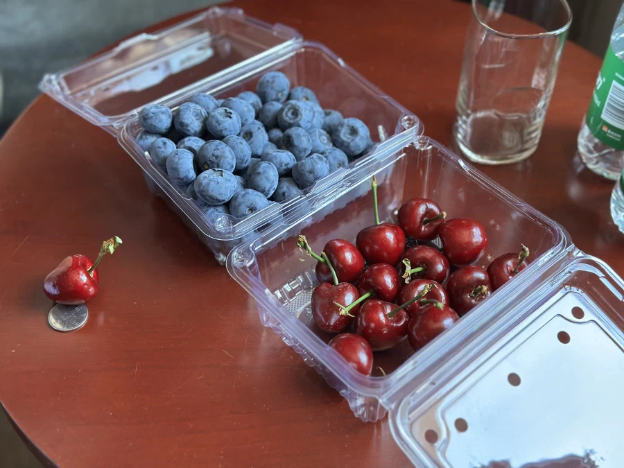 3일동안 🇨🇳다롄 먹방_30.webp