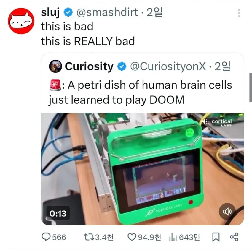 인공 배양한 사람 뇌세포의 충격적인 사실 ㄷㄷㄷ_2.webp