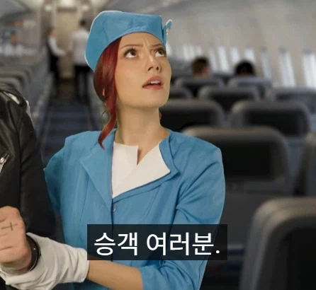 비행기에서 범죄를 저지르면 어느 나라에서 체포 되나.jpg_18.webp
