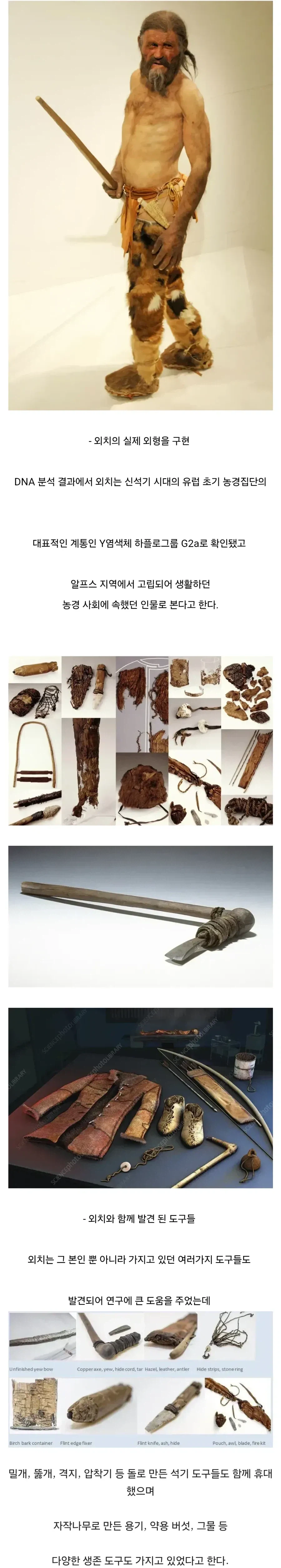 얼음속에서 발견된 5천년전 미라.jpg_5.webp