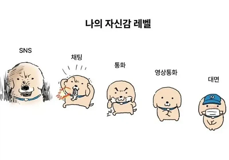 나의 자신감 레벨.jpg_1.webp