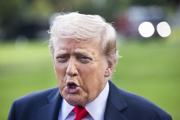 바이든 밈vs트럼프 밈_2.webp