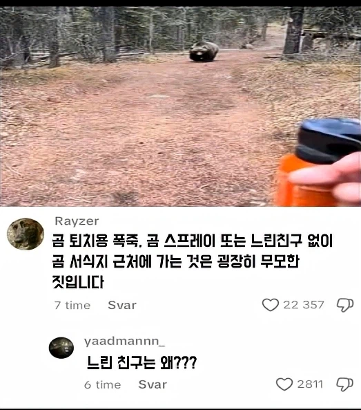 의외로 곰에게 쫒길 때 필요한것_1.webp