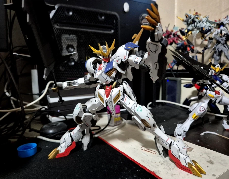 다 늙은 늑대 인공관절교체_1.webp