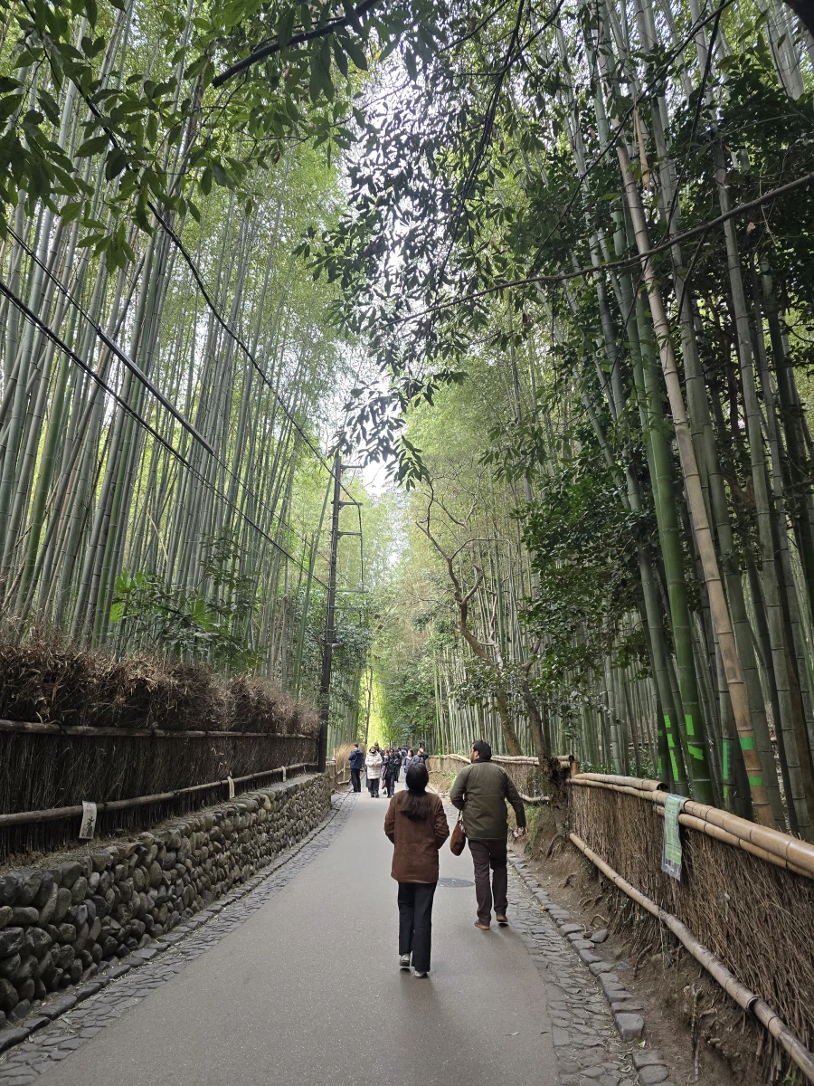 교토 2일차_3.webp