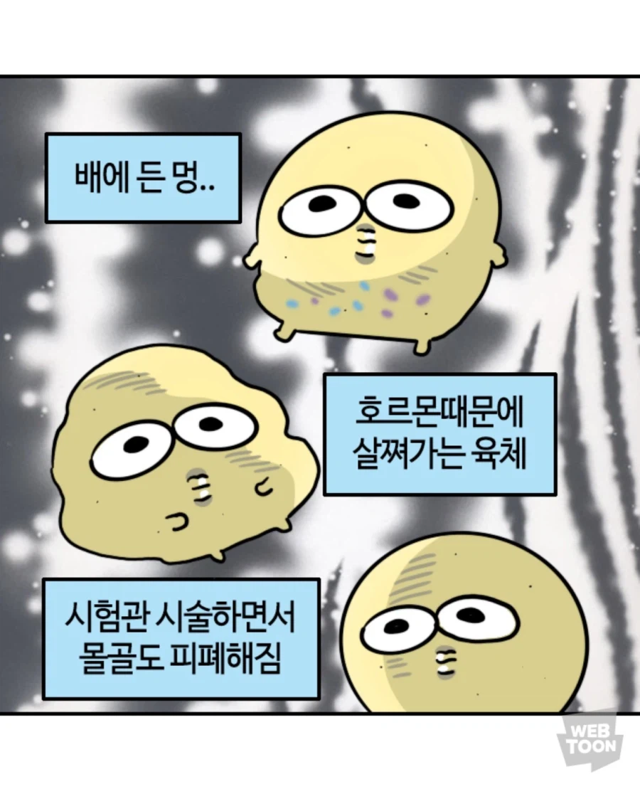 노산관련 불편해 하는 사람들이 있는 이유_13.webp