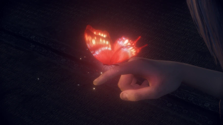 붉은 나비_20.webp