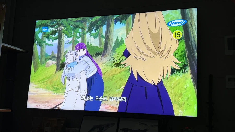 프리렌)파티에 합류하려는 메토데를 경계하는 페른_4.webp