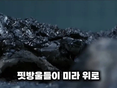 영화 리뷰 쇼츠 재작자 조차 빡친게 보이는 영화_14.webp