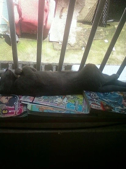 [라온이의 15번째 생일! 15년 압축 돌아보기]_16.webp