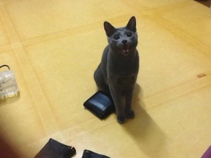 [라온이의 15번째 생일! 15년 압축 돌아보기]_28.webp