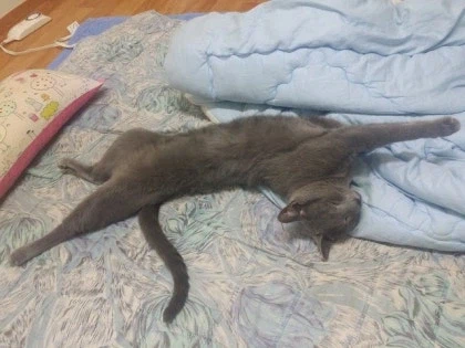 [라온이의 15번째 생일! 15년 압축 돌아보기]_40.webp